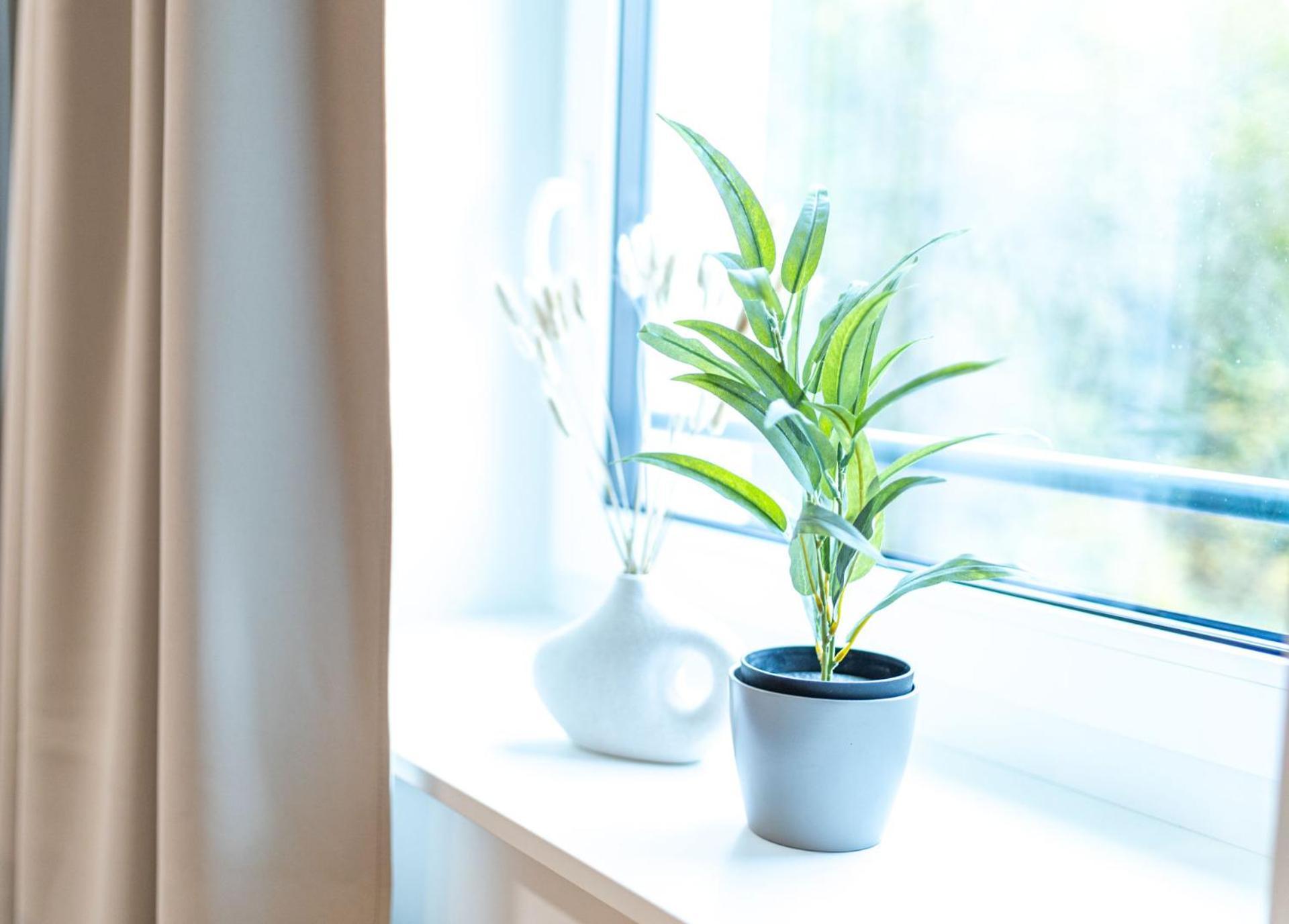 Dwellstay - City Apartments Fulda Oda fotoğraf